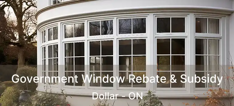  Government Window Rebate & Subsidy Dollar - ON