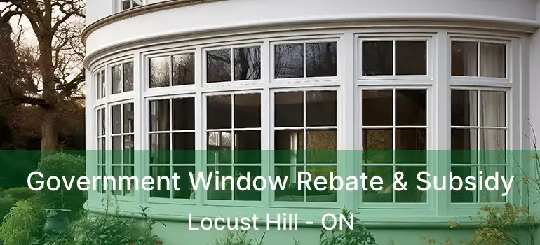  Government Window Rebate & Subsidy Locust Hill - ON