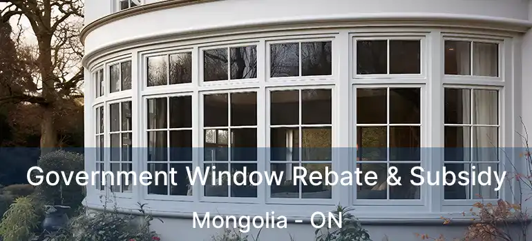  Government Window Rebate & Subsidy Mongolia - ON