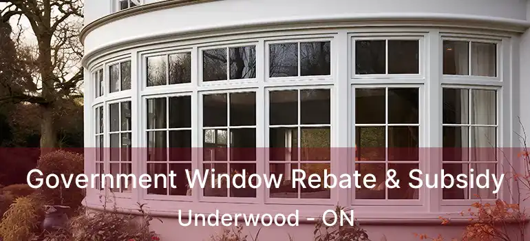  Government Window Rebate & Subsidy Underwood - ON