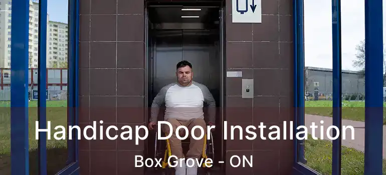  Handicap Door Installation Box Grove - ON