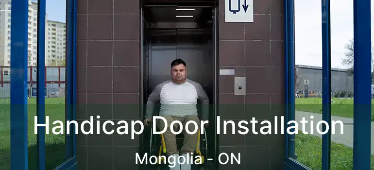  Handicap Door Installation Mongolia - ON