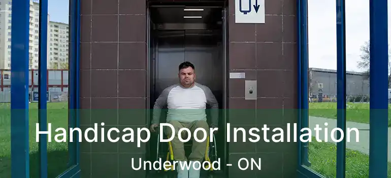  Handicap Door Installation Underwood - ON