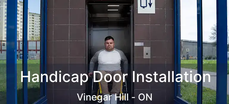  Handicap Door Installation Vinegar Hill - ON