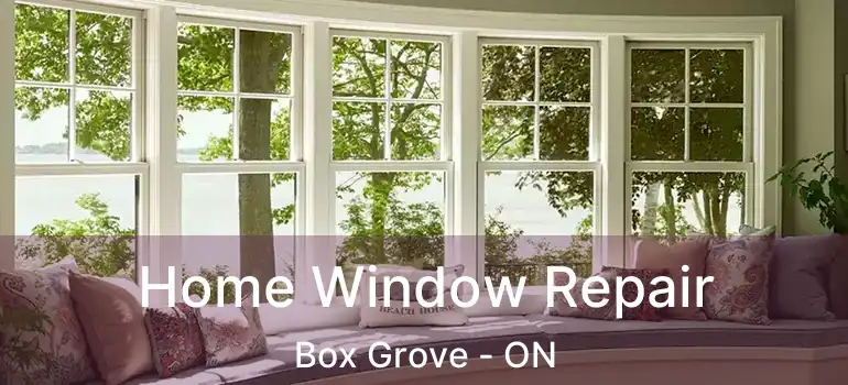  Home Window Repair Box Grove - ON