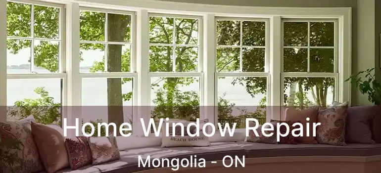  Home Window Repair Mongolia - ON