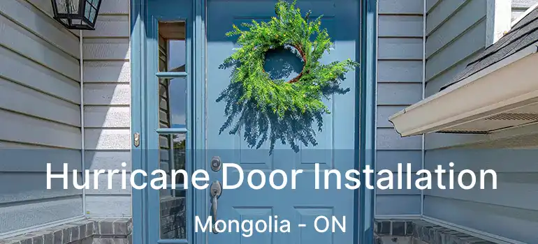  Hurricane Door Installation Mongolia - ON