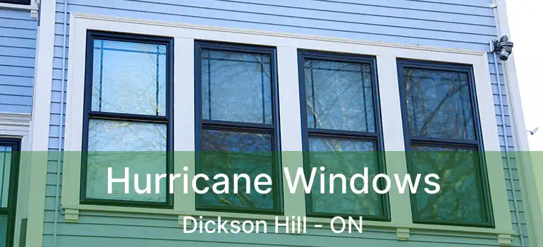  Hurricane Windows Dickson Hill - ON