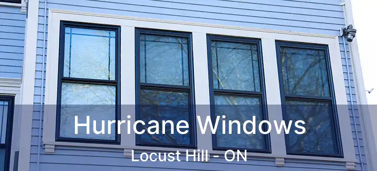  Hurricane Windows Locust Hill - ON