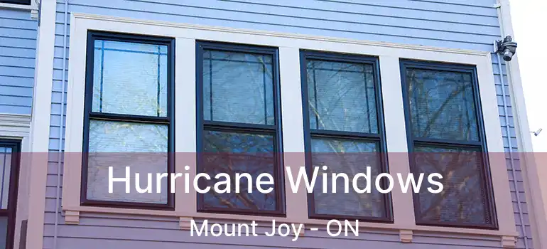  Hurricane Windows Mount Joy - ON