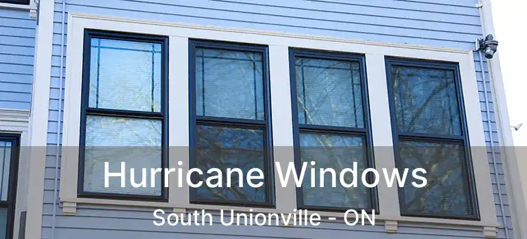  Hurricane Windows South Unionville - ON