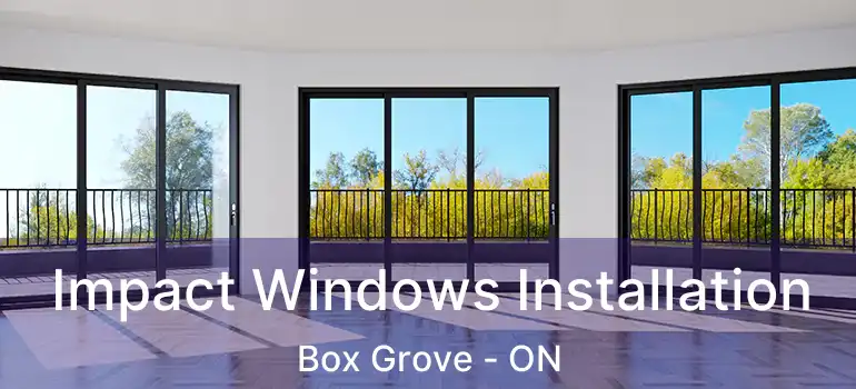  Impact Windows Installation Box Grove - ON