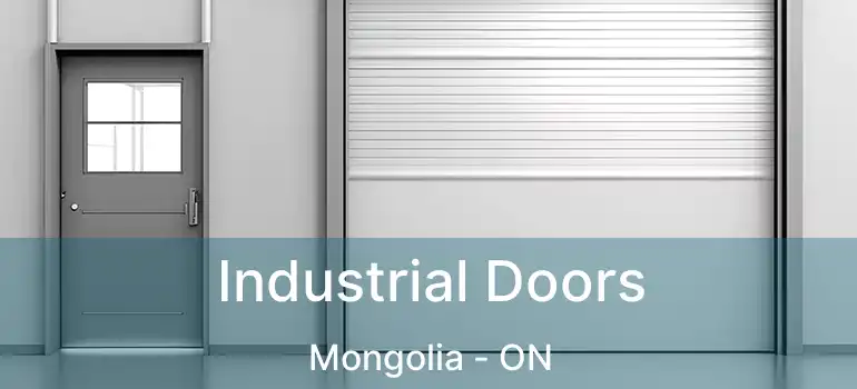  Industrial Doors Mongolia - ON
