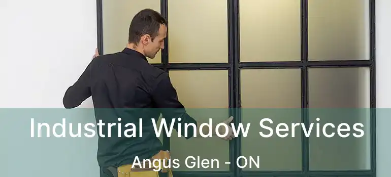 Industrial Window Services Angus Glen - ON