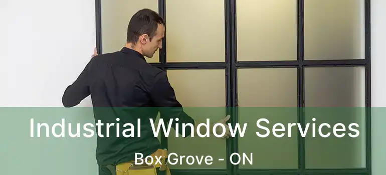  Industrial Window Services Box Grove - ON