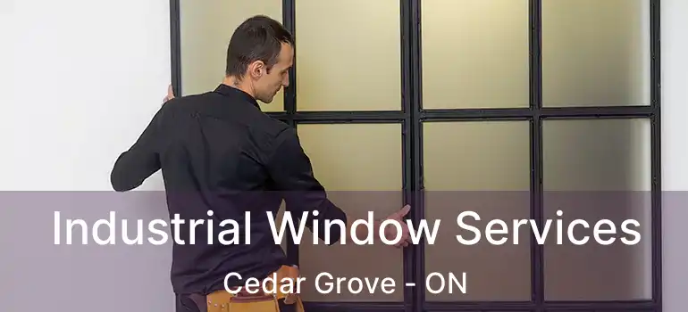  Industrial Window Services Cedar Grove - ON