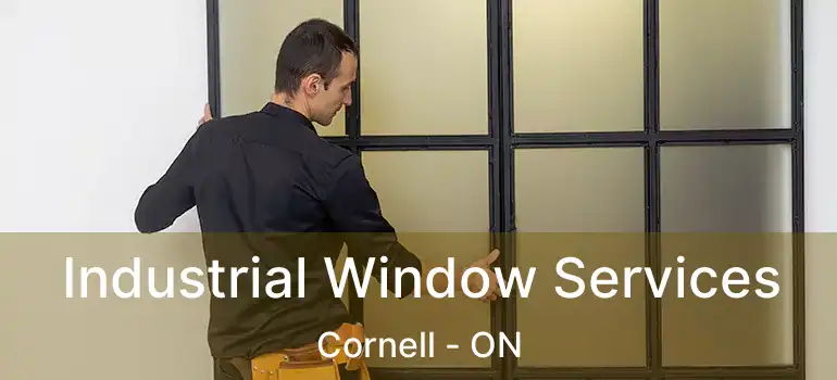  Industrial Window Services Cornell - ON