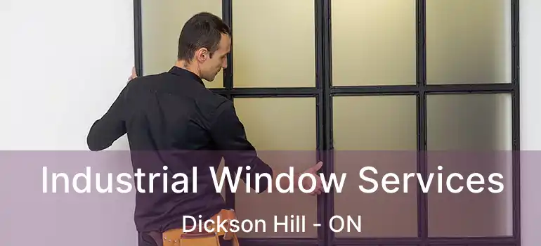  Industrial Window Services Dickson Hill - ON
