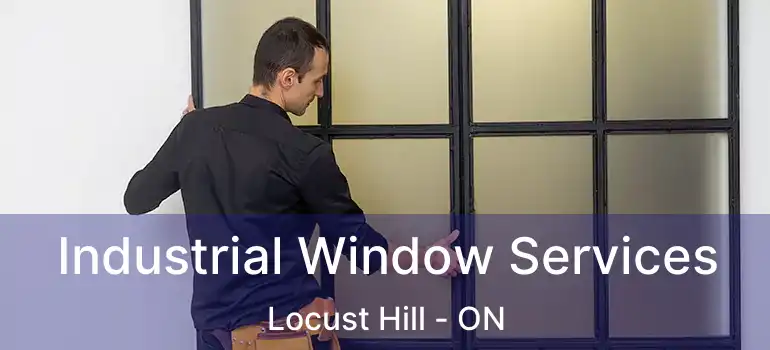  Industrial Window Services Locust Hill - ON