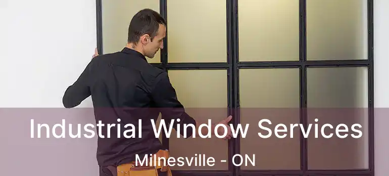  Industrial Window Services Milnesville - ON