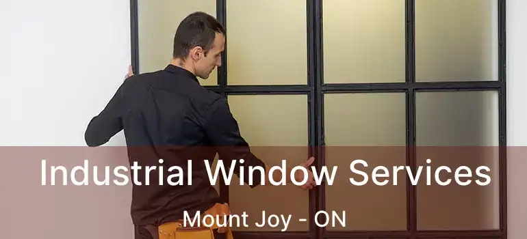  Industrial Window Services Mount Joy - ON