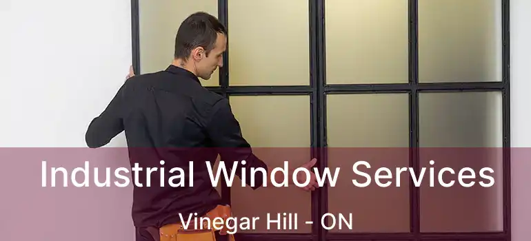  Industrial Window Services Vinegar Hill - ON