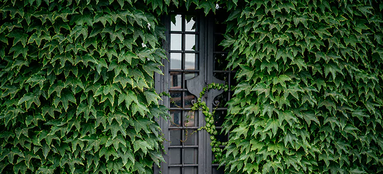 Garden Gate Repair in Markham, ON