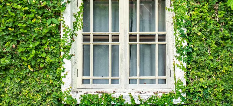 arden Window Repair Near Me in Markham, ON