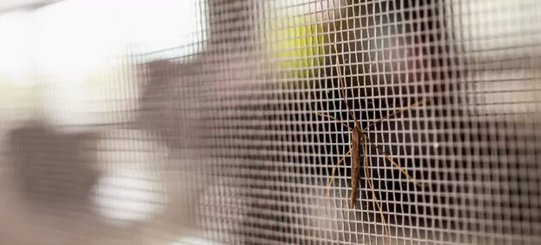 Repair Mosquito Mesh For Windows in Markham, Ontario