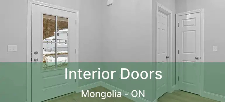  Interior Doors Mongolia - ON