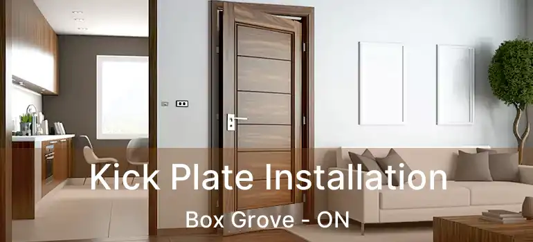  Kick Plate Installation Box Grove - ON