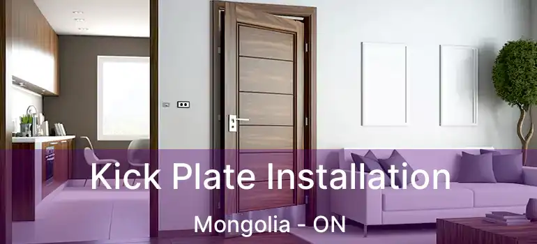  Kick Plate Installation Mongolia - ON