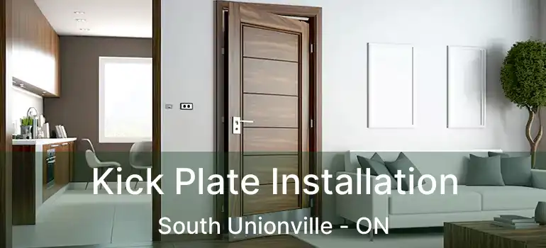  Kick Plate Installation South Unionville - ON