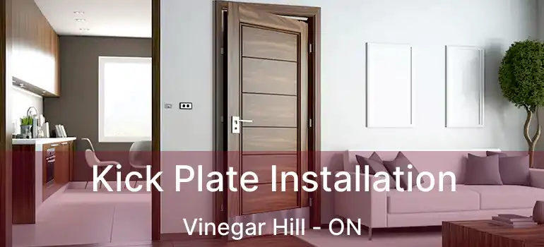  Kick Plate Installation Vinegar Hill - ON