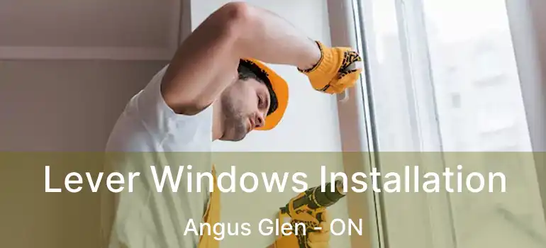  Lever Windows Installation Angus Glen - ON