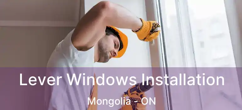  Lever Windows Installation Mongolia - ON