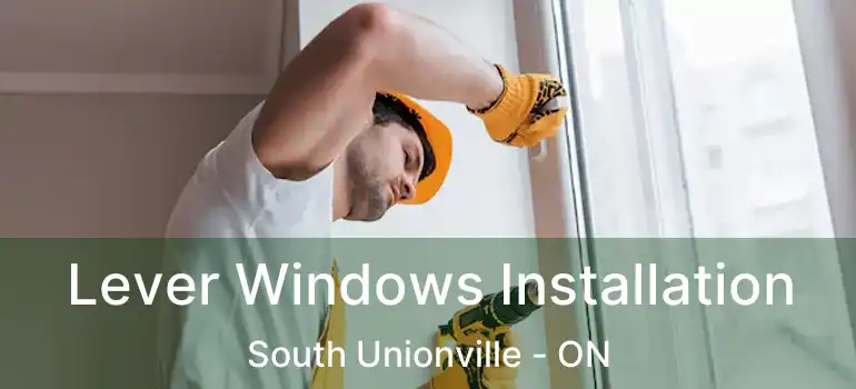  Lever Windows Installation South Unionville - ON
