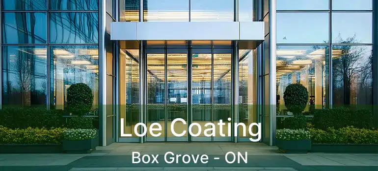  Loe Coating Box Grove - ON