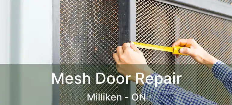  Mesh Door Repair Milliken - ON