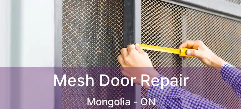  Mesh Door Repair Mongolia - ON