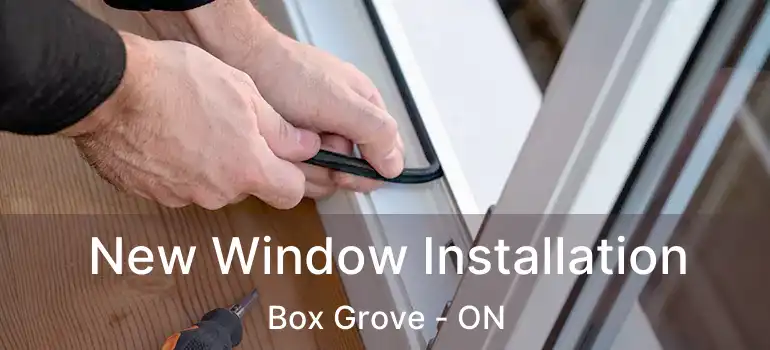  New Window Installation Box Grove - ON