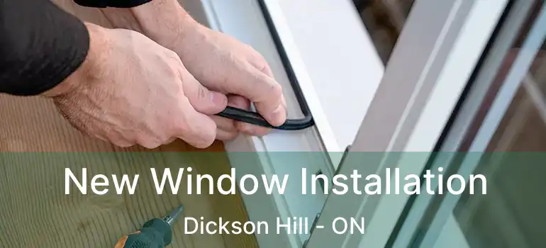  New Window Installation Dickson Hill - ON