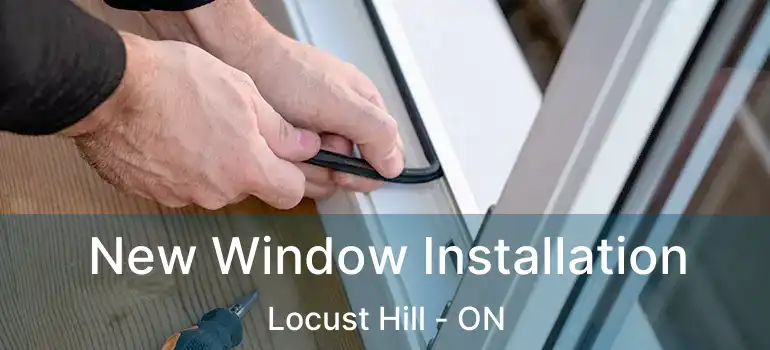  New Window Installation Locust Hill - ON