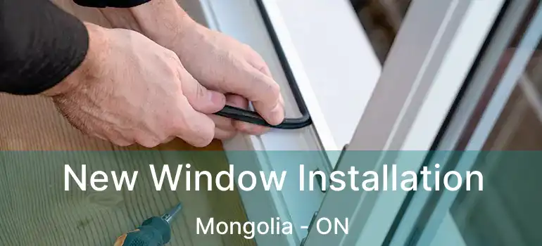  New Window Installation Mongolia - ON