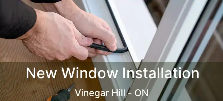  New Window Installation Vinegar Hill - ON