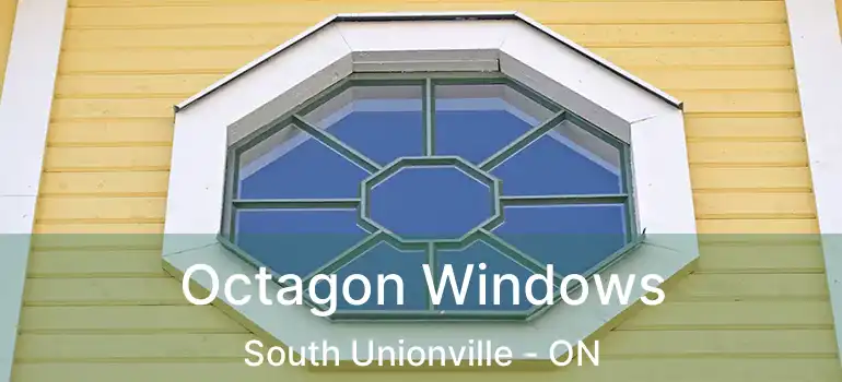  Octagon Windows South Unionville - ON