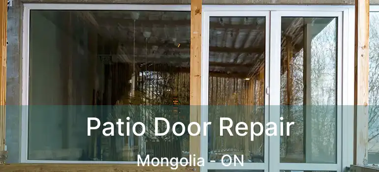  Patio Door Repair Mongolia - ON