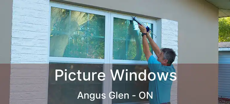 Picture Windows Angus Glen - ON