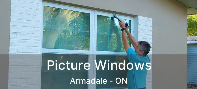  Picture Windows Armadale - ON