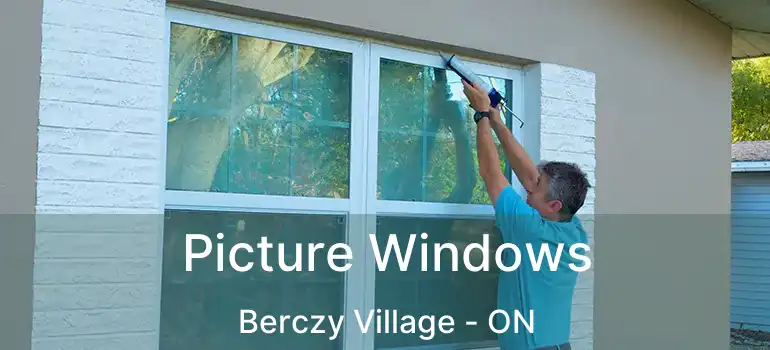  Picture Windows Berczy Village - ON